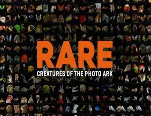 珍稀动物摄影方舟 Rare Creatures of the Photo Ark 2017 全3集 英语英字 720P MP4