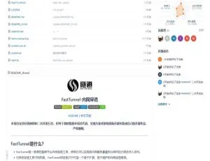 FastTunnel 2.0.4 跨平台内网穿透工具 高效稳定版