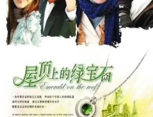 《屋顶上的绿宝石 霍建华 孙俪 2006 港剧 全30集 国粤双语中字》
