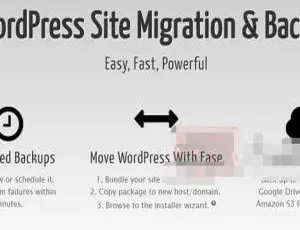 Duplicator Pro中文版：WordPress网站一键迁移备份工具-蓝海网