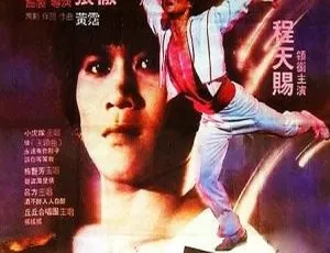 霹雳情 1984香港经典动作 国语中字 MKV高清