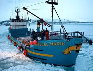 渔人的搏斗 Deadliest Catch 第五季 全集