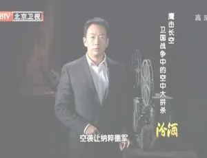 2012 BTV档案 鹰击长空：卫国战争空战全纪录 HDTV高清