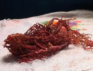 古怪食物：奇妙美食之旅第三季全11集 英语中字 1080P高清纪录片