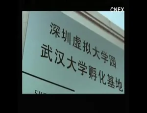 浮萍Duckweed纪录片 高清720P原声中文字幕