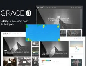 WordPress Grace8.0主题 自适应响应式极客自媒体模板