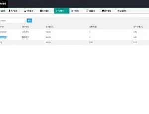 支付系统源码：代收付与手工代付解决方案