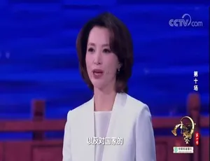中国诗词大会全四季40集 1080P高清 国语中字 完整版纪录片