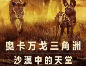 幸存的天堂 Netflix纪录片 79分钟高清1080P 原声内嵌中文字幕 在线观看