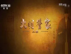 大明管家全两集高清蓝光纪录片珍藏