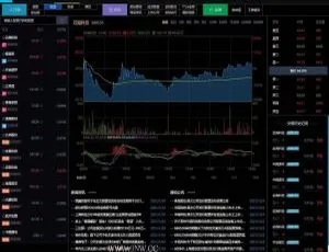 3.0新股申购：两融双融交易与配资系统解析