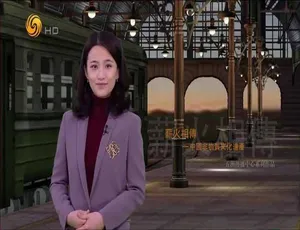 凤凰大视野2013 纪录片 全44部高清完整版