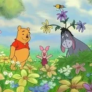 春天的百亩森林英语