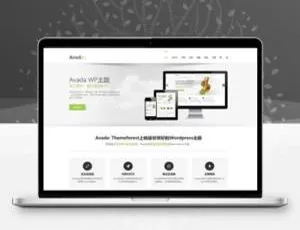 Avada多功能企业主题永久使用版 - 最新V5.8.2 WordPress模板