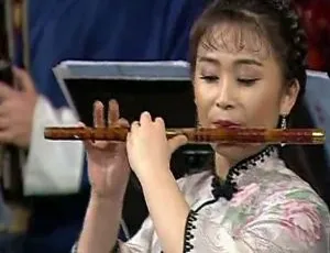 1998维也纳金色大厅虎年春节音乐会 中央民族乐团 经典演出-蓝海网