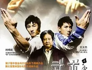 2008武术之少年行 剧情动作家庭片 汉语普通话高清