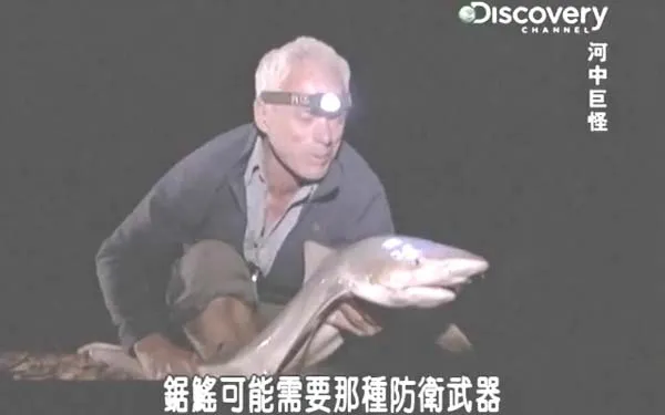 河中巨怪