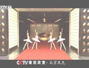 1985央视经典短片《请您欣赏》高清修复版