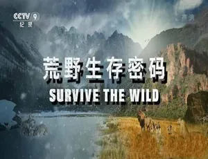 荒野生存密码 Survive the Wild 全6集高清中字纪录片-蓝海网