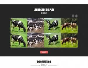 黑红色农林园林网站源码 织梦模板 手机版自适应红色主题西餐厅与川菜馆美食企业网站模板