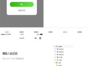 小程序模板：多功能模块与三套短信验证码页面，高效开发必备前端模板-蓝海网