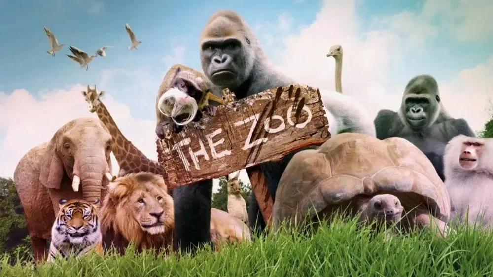 The Zoo 英语早教动画