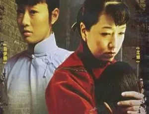 马伊琍《月牙儿与阳光》全集国语中字高清完整版-蓝海网