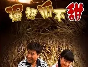 2008强扭瓜不甜 中文字幕全1集 4.86G高清收藏版-蓝海网