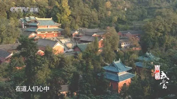 央视高清纪录片