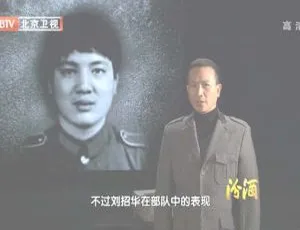 2012 BTV档案 公安部A级通缉令追捕大毒枭刘招华 720p高清纪录片