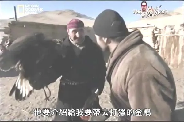 自然探索纪录片
