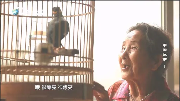 外籍人士中国市场