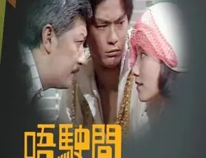 1976香港唔駛問阿貴 郑少秋 汪明荃 国粤双语 中文字幕 23集全-蓝海网