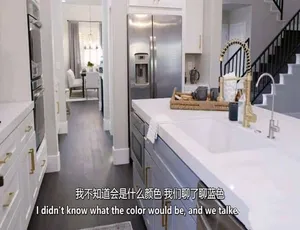 房产兄弟：永远的家 Property Brothers Forever Home 第三季全18集 1080P MKV 英语中英双字-蓝海网