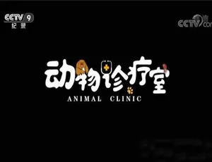 动物诊疗室 Animal Clinic 全5集 蓝光高清纪录片-蓝海网