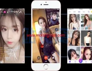 全新开源布谷系统一对一视频直播及APP源码
