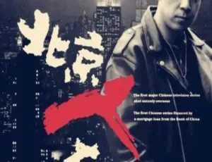 北京人在纽约 1993 大陆剧集 国语无字 21集全 标清版-蓝海网