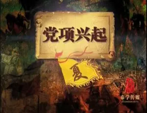 2014腾飞五千年百家讲坛塞北三朝西夏国语中字FLV高清合集-蓝海网