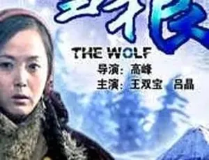 雪狼 2006 22集国语谍战剧-蓝海网