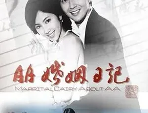 AA婚姻日记 2010 汉语普通话全1集
