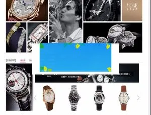 ECShop珠宝手表数码电子综合购物商城系统-蓝海网