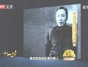 2011 BTV档案 辛亥风云第七集：复辟闹剧 720p高清版