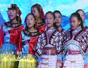 2018央视经典咏流传第一期 国语中字 1080P高清H265 AAC高品质音画-蓝海网