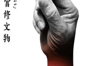 我在故宫修文物 2016中国大陆纪录片 高清珍藏版