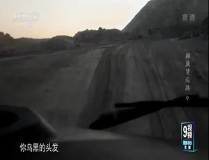 颠簸货运路 2020 全10集 高清1080P国语中字