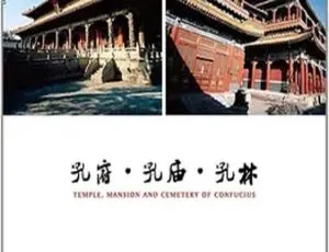 2012中国文化遗产3D纪录片 孔府孔庙孔林 高清珍藏