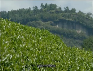 与维多利亚共品香茗 英语中字纪录片 全2集高清版