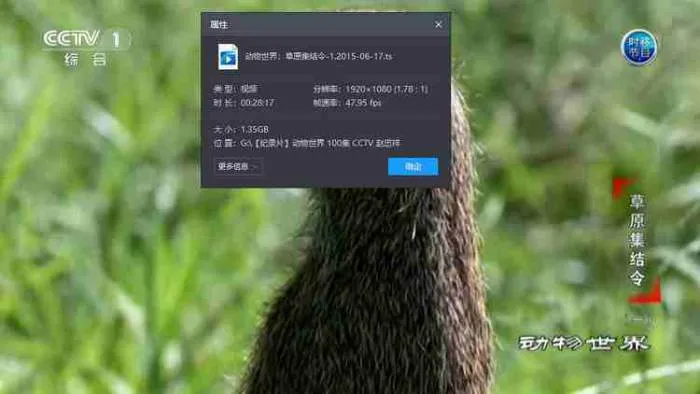 动物世界赵忠祥高清全集