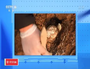 2022考古进行时 第四季 全4集 高清汉语中字纪录片-蓝海网