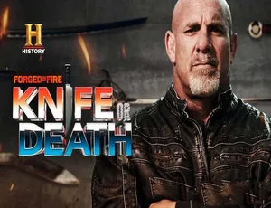 锻刀大赛利刃争霸 Forged in Fire全季高清720P/1080i无删减 锻造大师巅峰对决-蓝海网